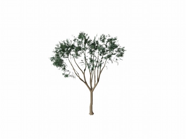 树木1，Sovit3D