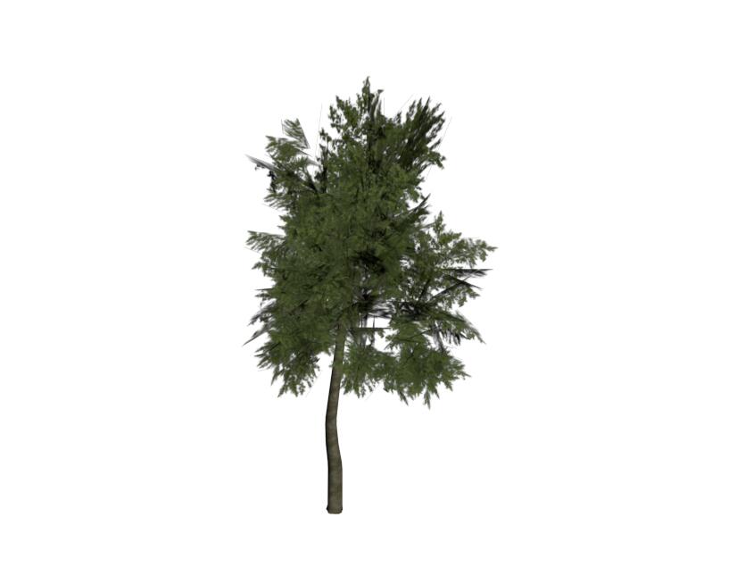 树2，Sovit3D